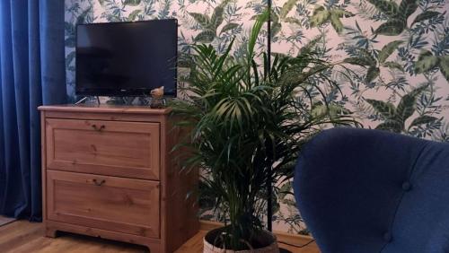 Apartament nr 2
